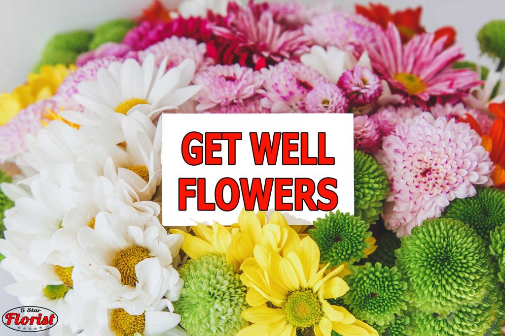 get-well-flowers Houston